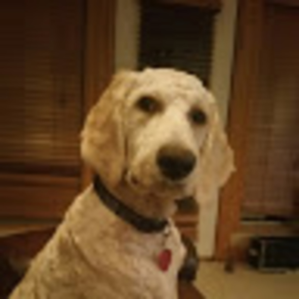 Meet your Posher, Leroy